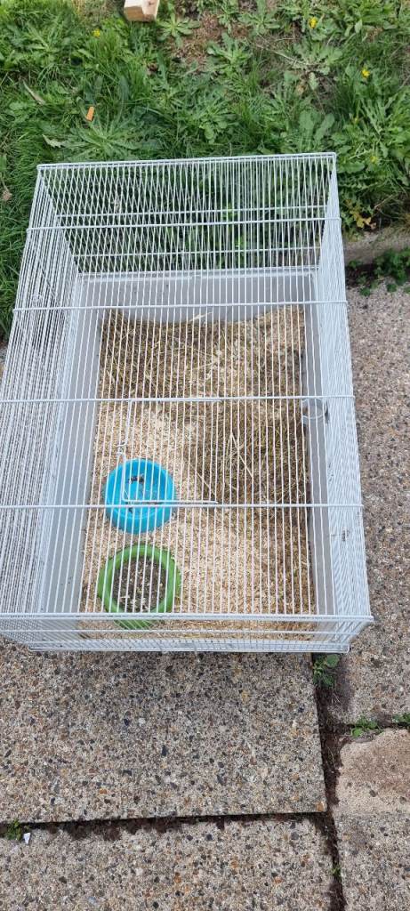 Hamster cage