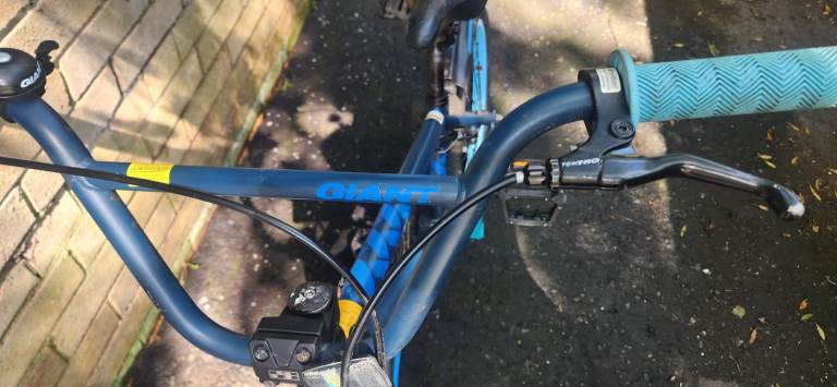 Giant bike