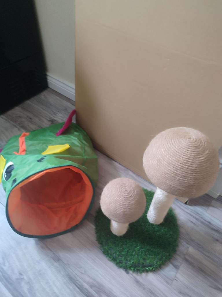 Cat / kitten toy and scratch post 