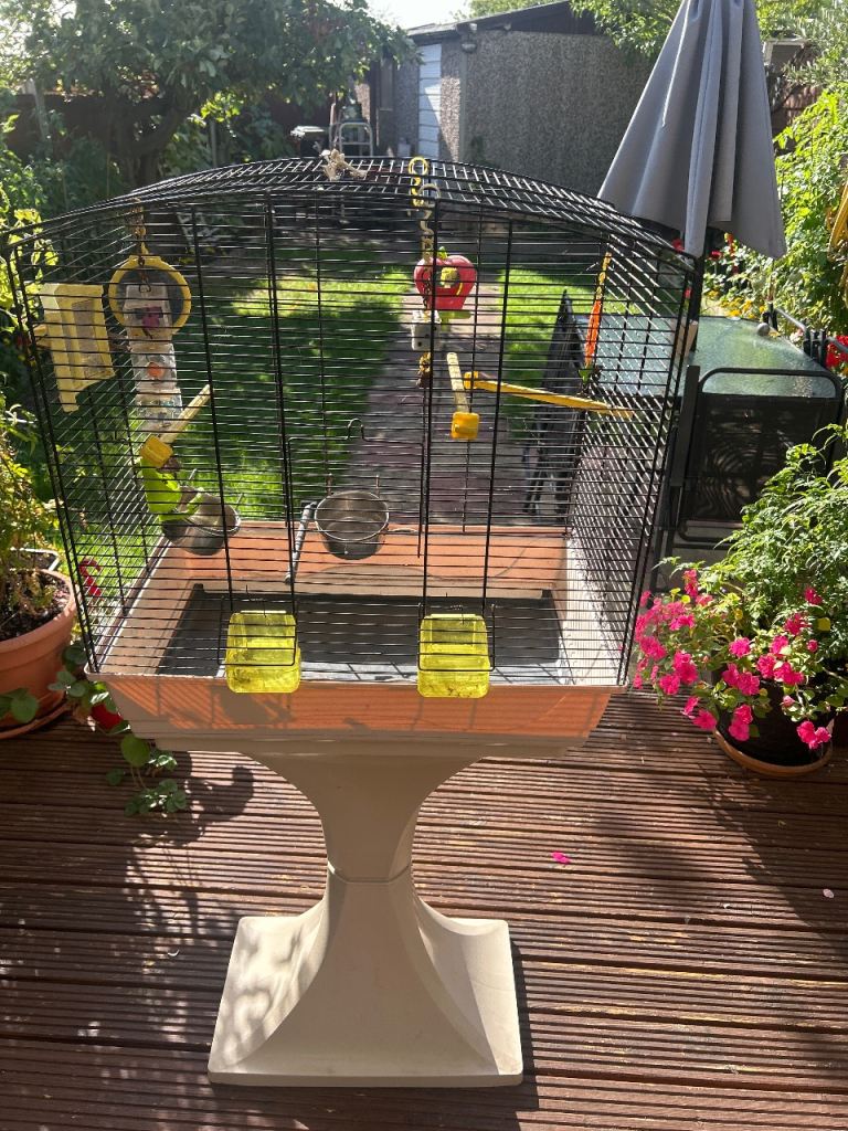Bird cages