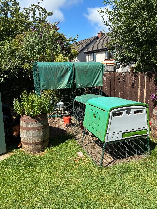 Sold - Pending - Eglu chicken coop and run