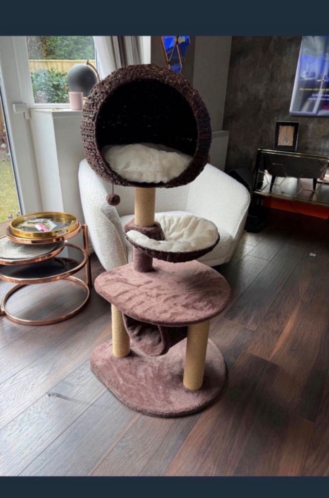 XL cat tree and scratcher