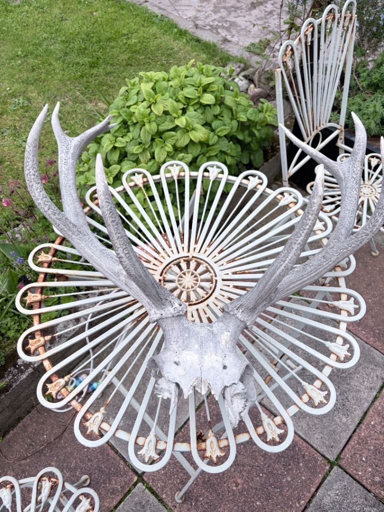 Large Stag Antlers on Skull Mount – Decorative Piece