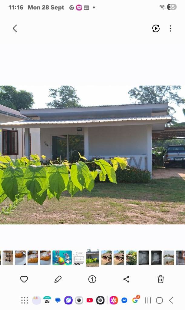 Butterflies,birds and buffalo