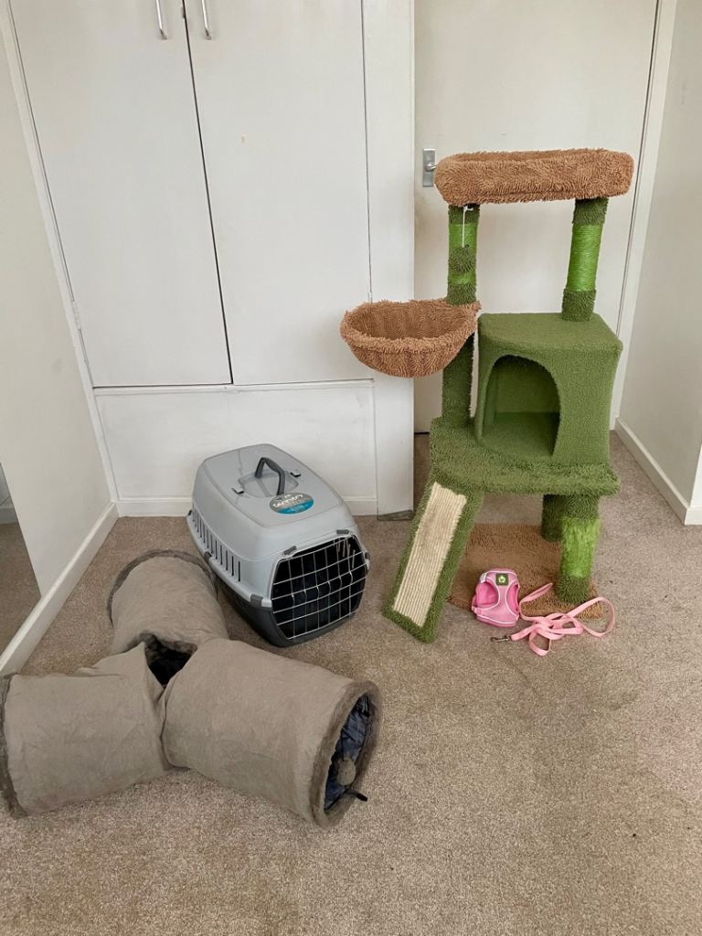 Cat Tree, Cat Carrier, XS harnes/lead, tunnel