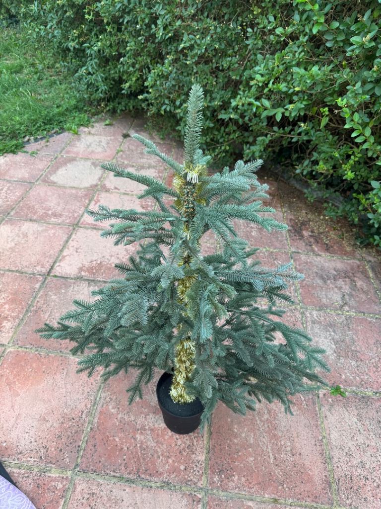 Small cute Christmas Tree in Pot – Good Condition