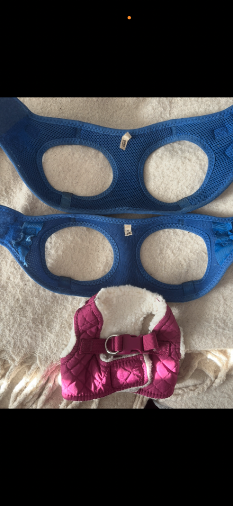 Xs and s pets at home dog harness bundle. Grab a bargain. 