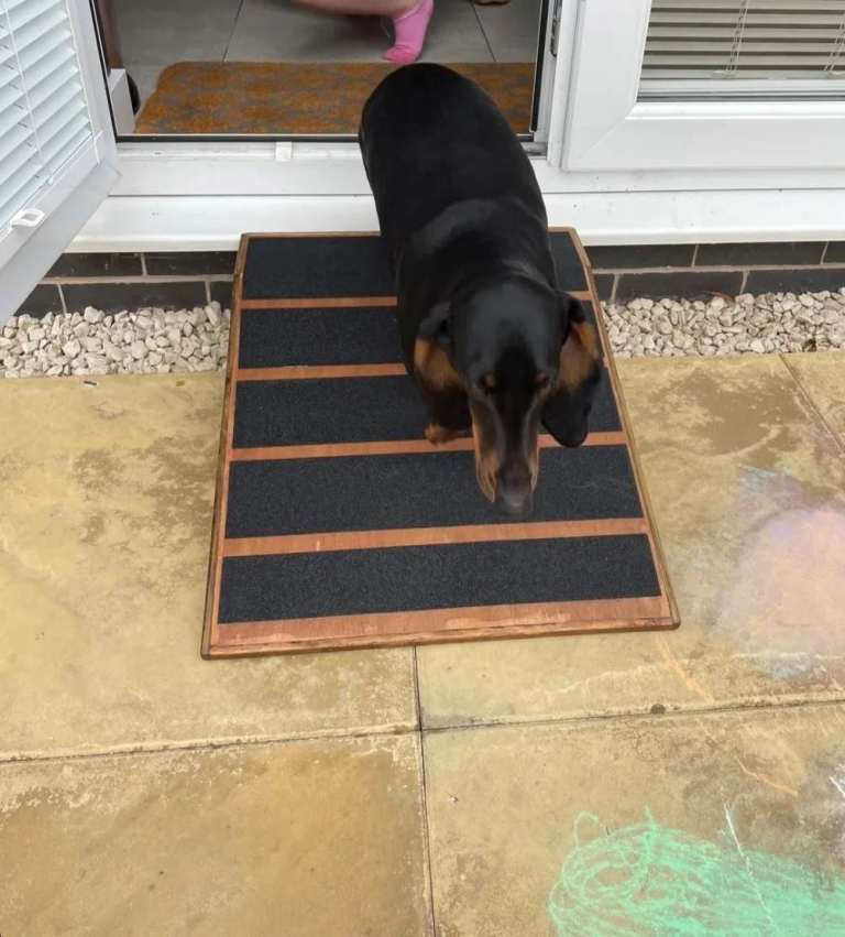 16cm H x 40cm W x 40cm L base Pet Ramp - Super Quality Strong