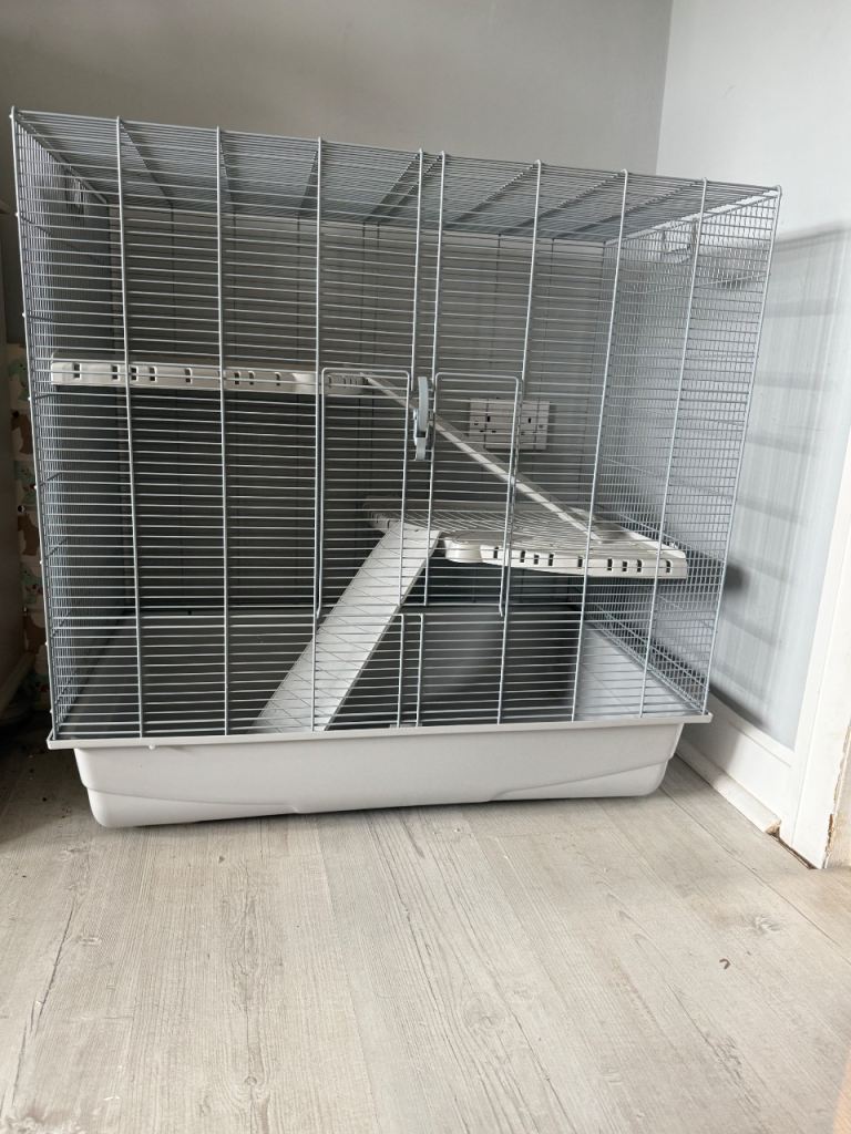 Rat Cage