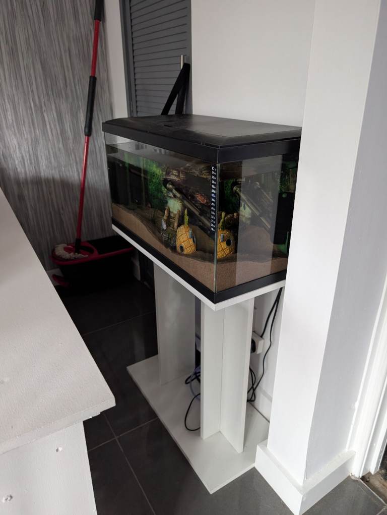 Fish tank with a stand and accessories 