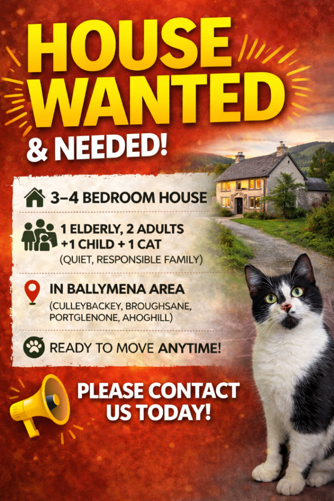 House Wanted Long-term 