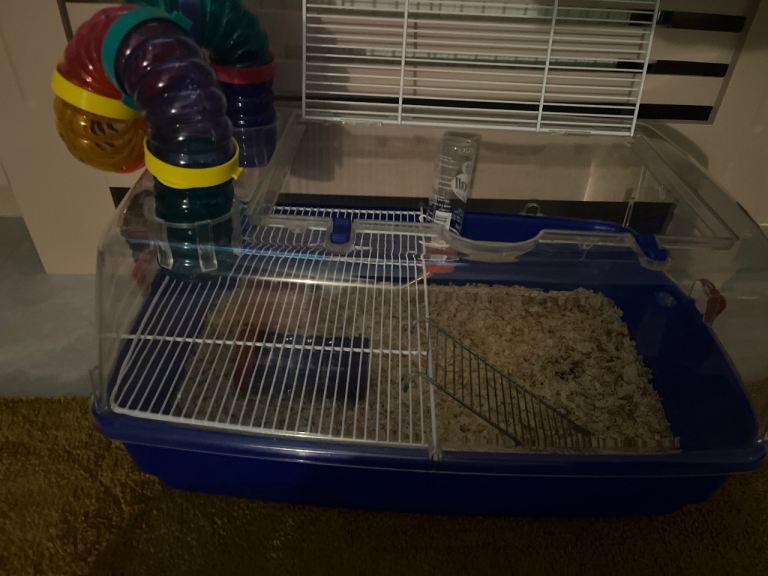 Mouse dwarf hamster cage 