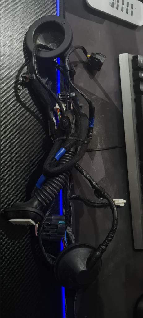 KIA SOUL 2014-16 NEARSIDE LEFT REAR DOOR WIRING LOOM 91650B2051