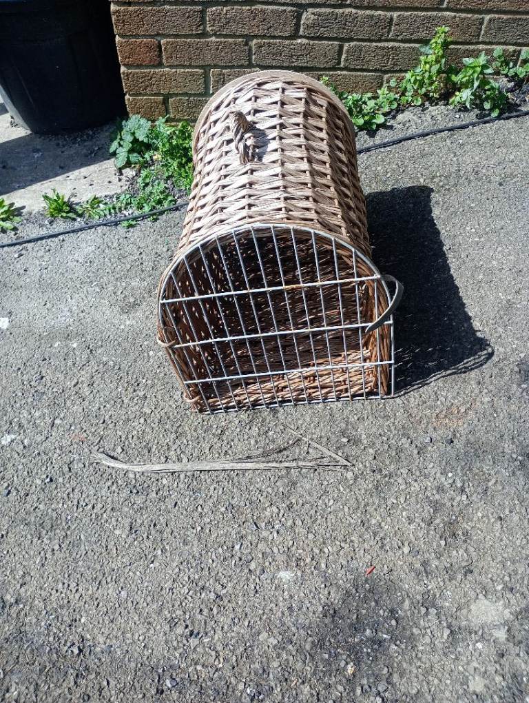 Vintage Wicker Cat Basket/ Pet Carrier 