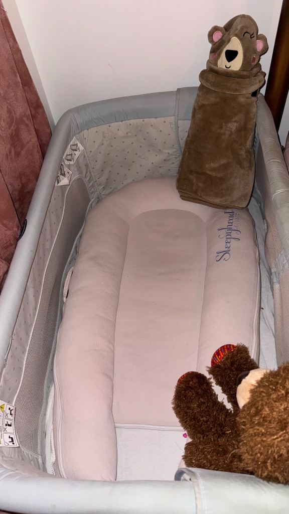 Chicco Dreams Next 2 Me Crib - Delicacy