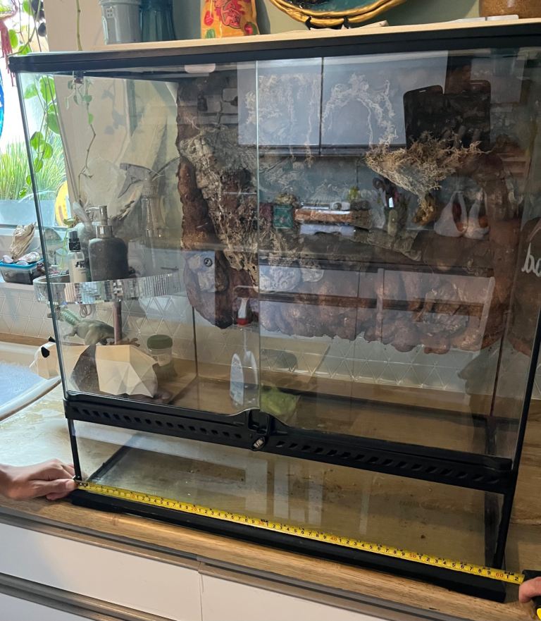 Exo terra enclosure 60x45 and bundle 