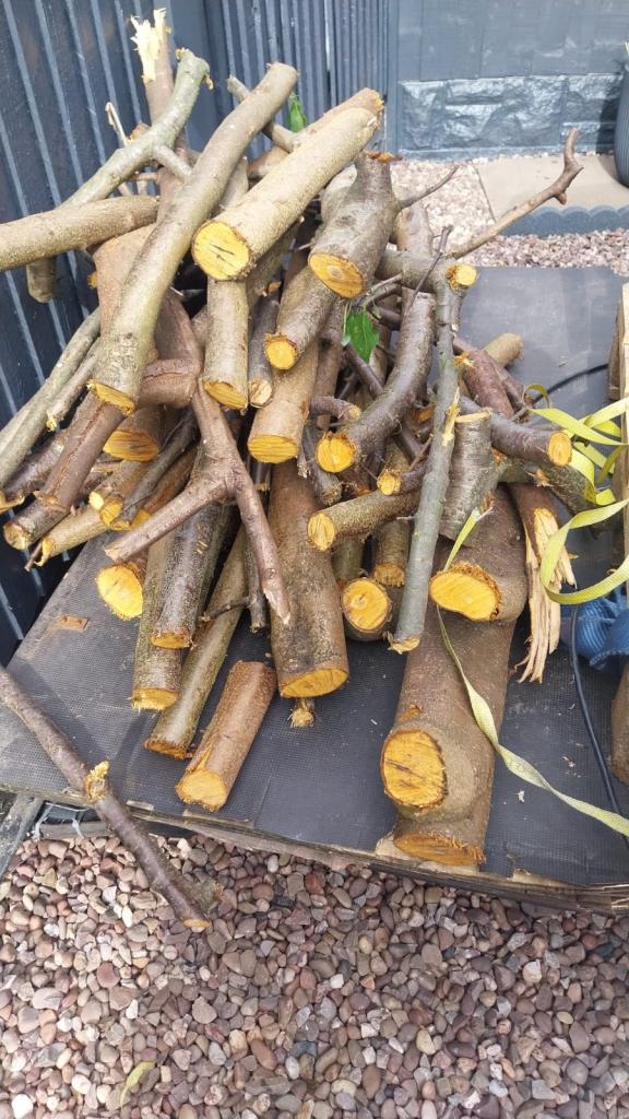 Logs