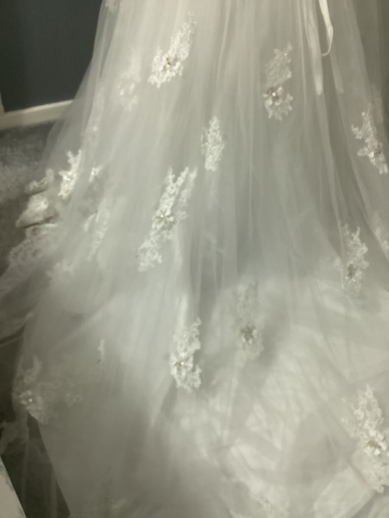 Da- Vinci wedding dress size 8/10 sample dress