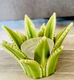 New Scentsy aloe Vera warmer 