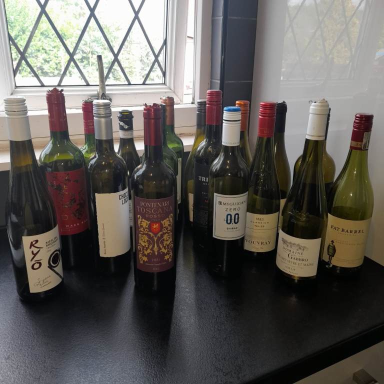  EMPTY Wine Bottle Bundle