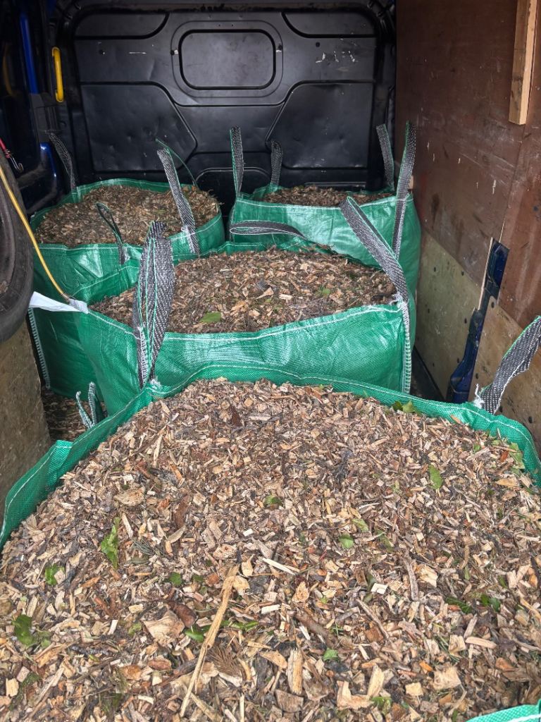 Wood chip mulch 