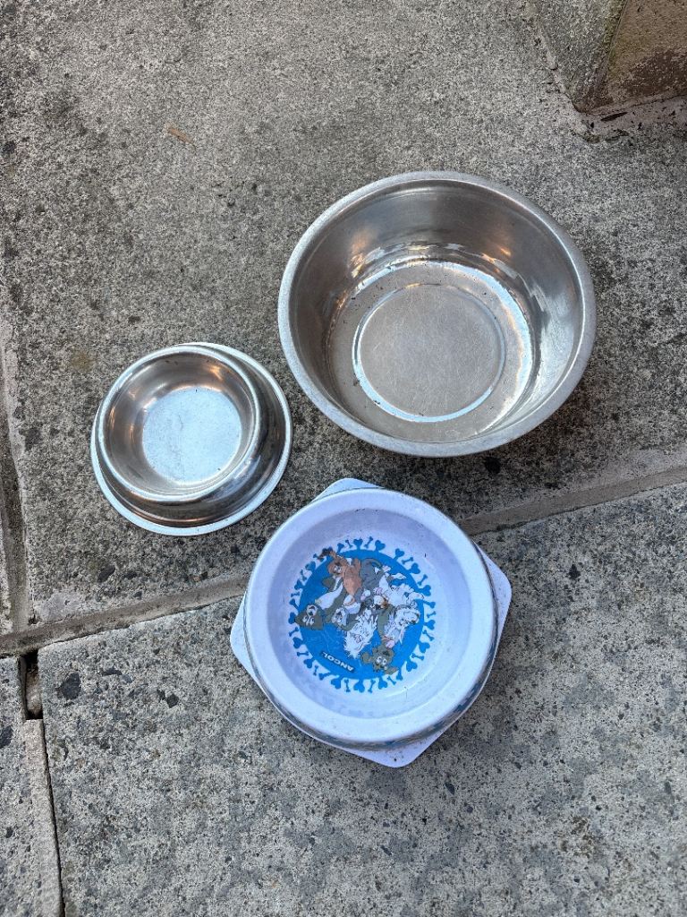 3 dog bowls