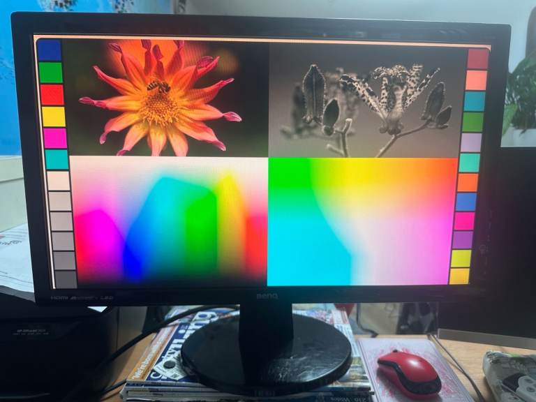 BenQ GL2450, 24-inch 1080P LED Monitor, in perfect working condition