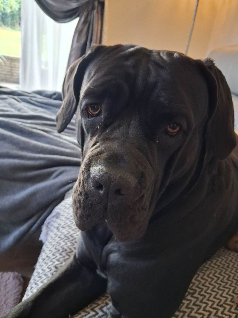Maggie