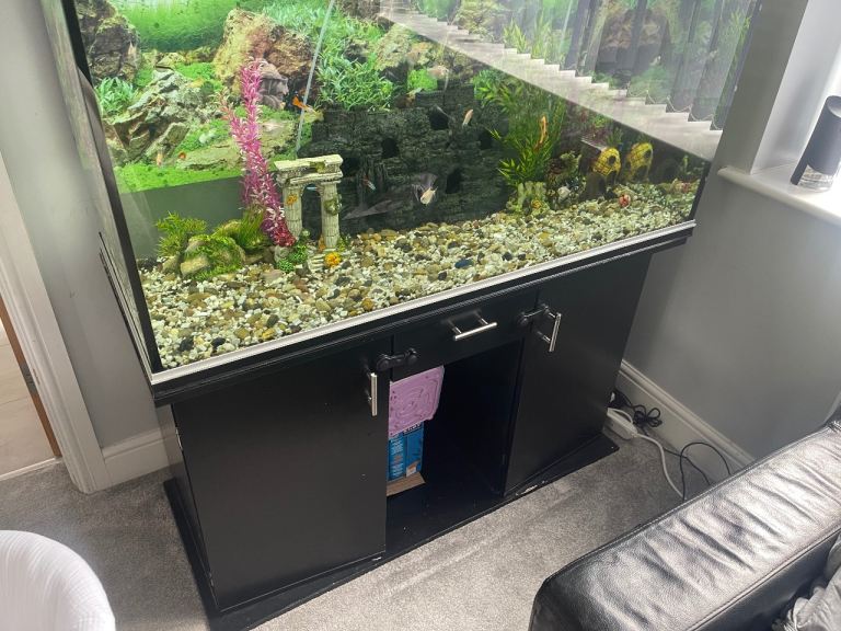 300L fish tank everything included