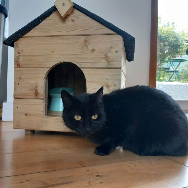 Wooden Cat Hut Shed Kennel