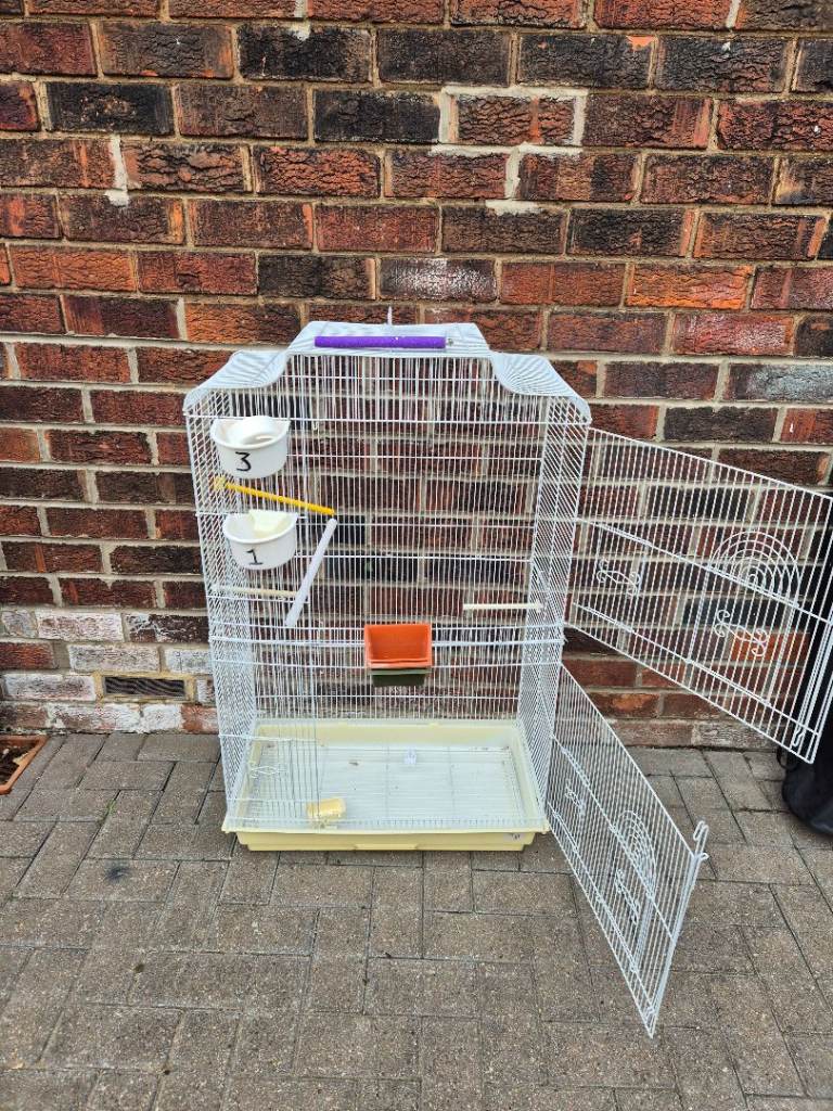 Bird cage 