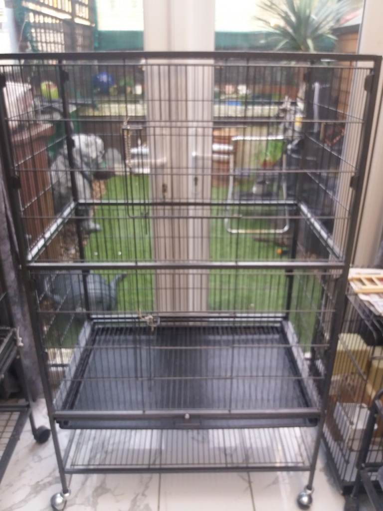 Large bird cage 