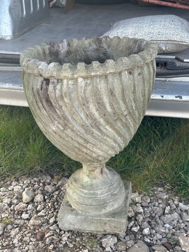 Fantastic garden 🪴  urn. 