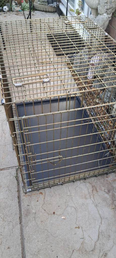 Large dog /pet cage folds for storage with plastic tray 
