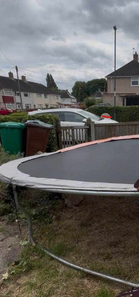 12ft trampoline with net 