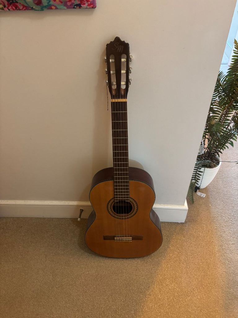 Guitar 