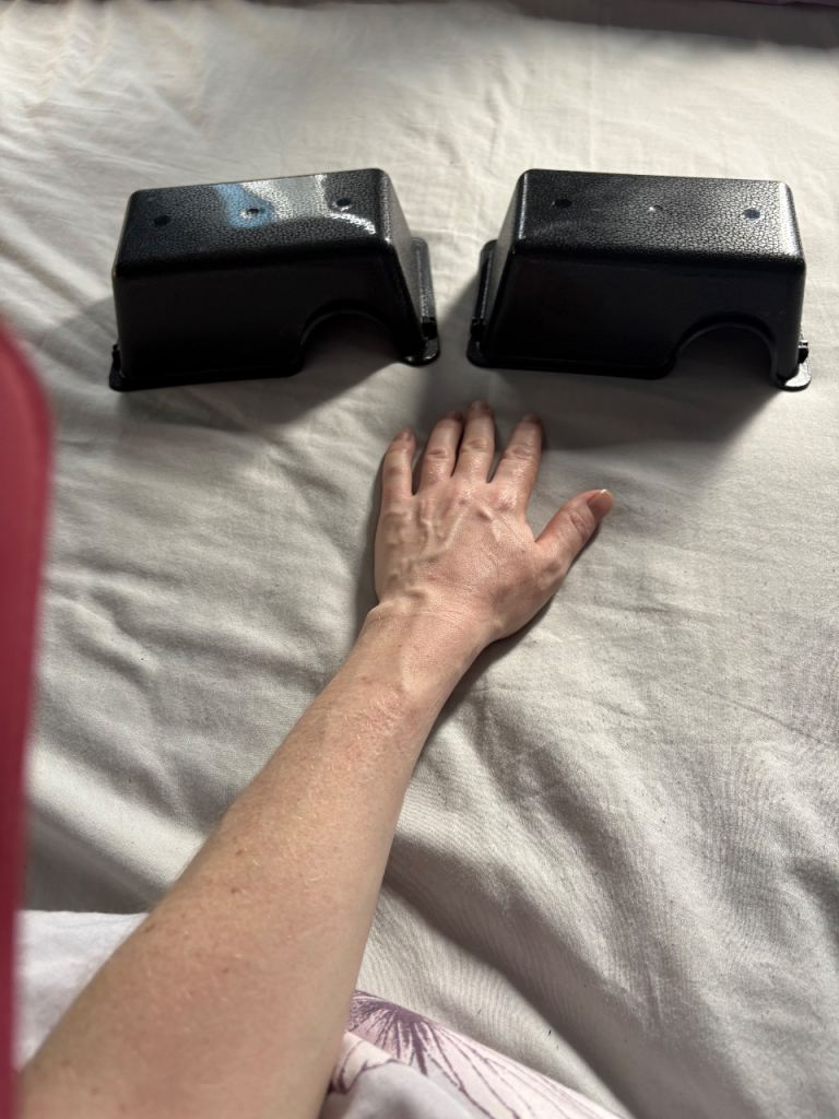 2 snake reptile vivarium hides 