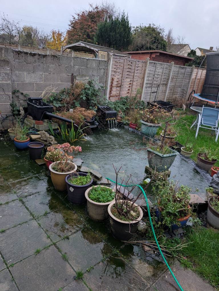 Pond closure, filters, pumps and contents of pond