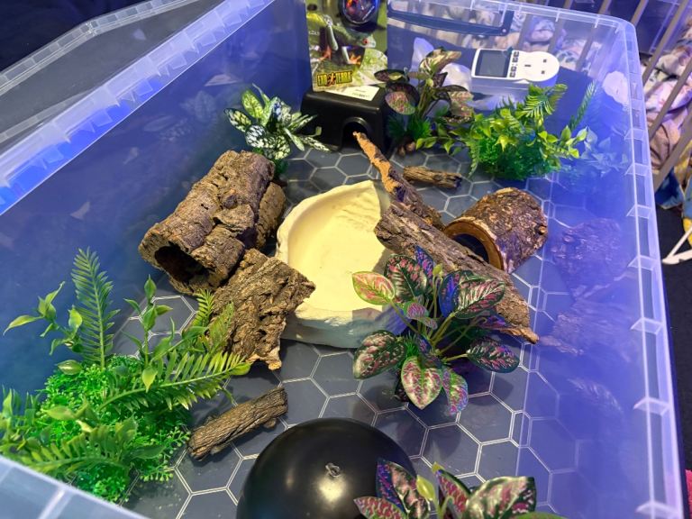 Still available due to time wasters. FULL SNAKE SET UP. ball python corn snake reptile etc 