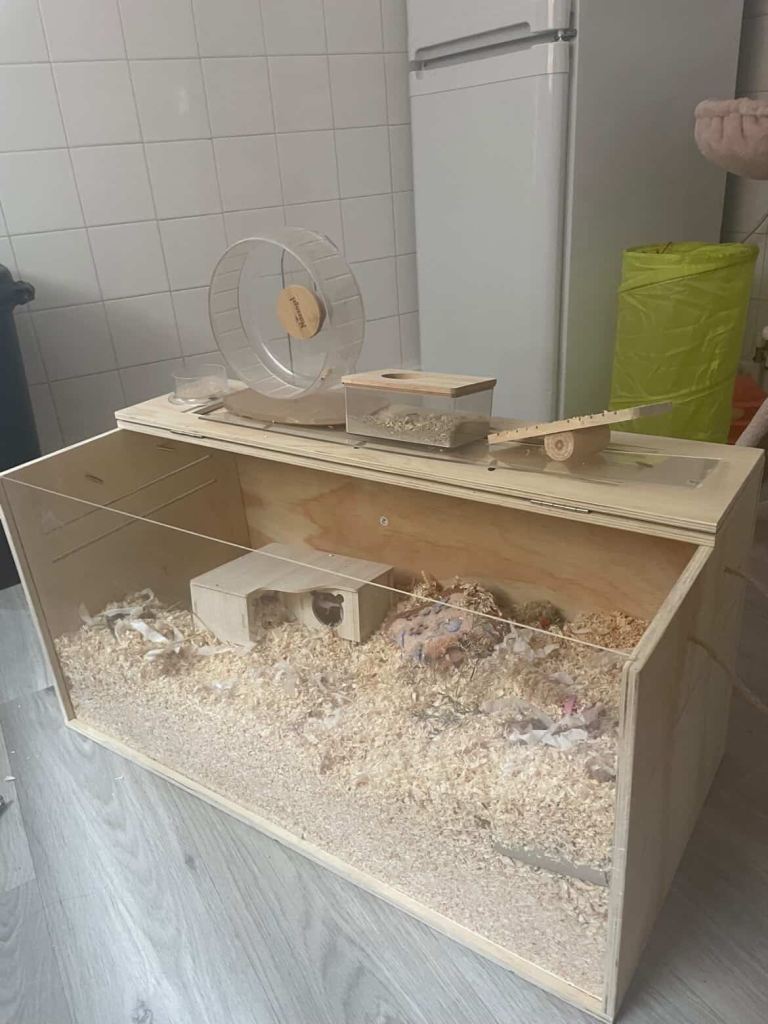 hamster cage + accessories 