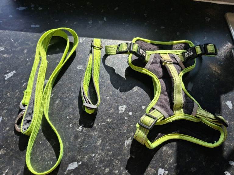 3 peaks matching harnesses, collar and lead