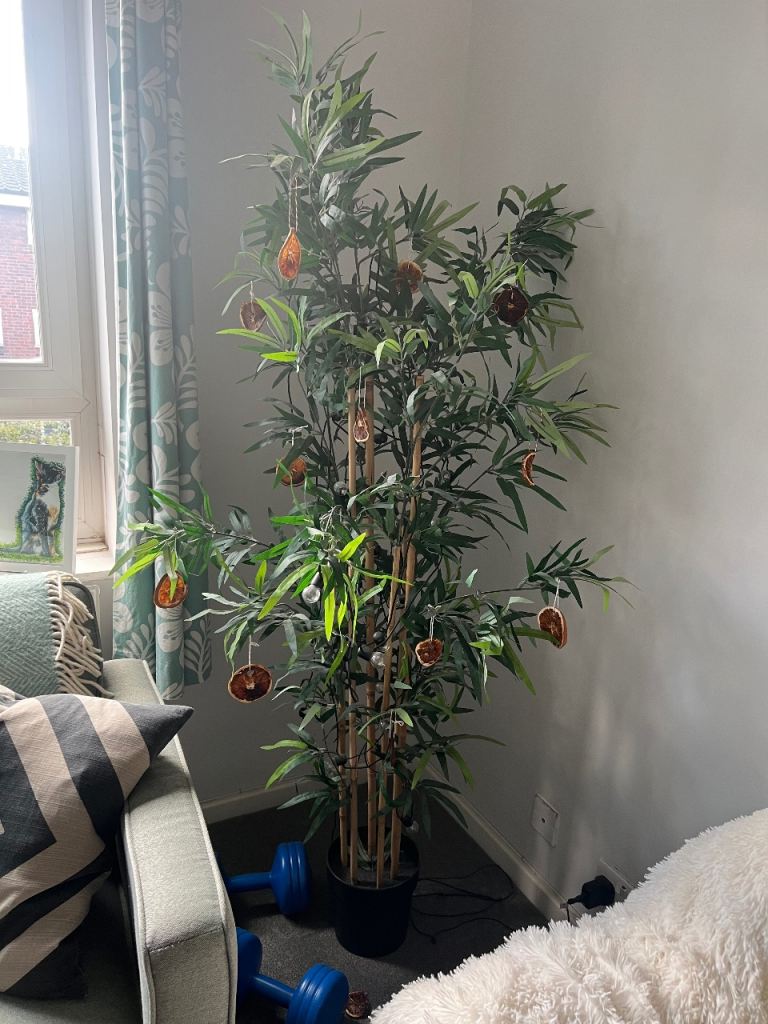 image for IKEA bamboo tree