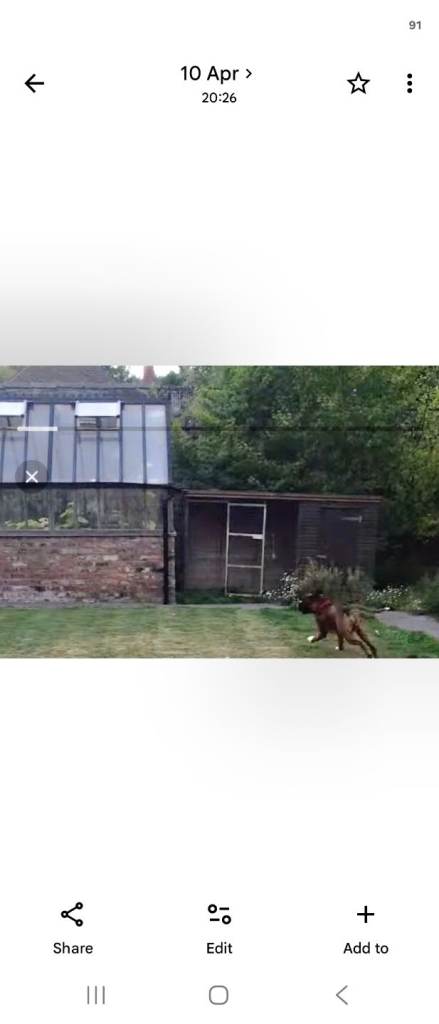 Dog Kennel