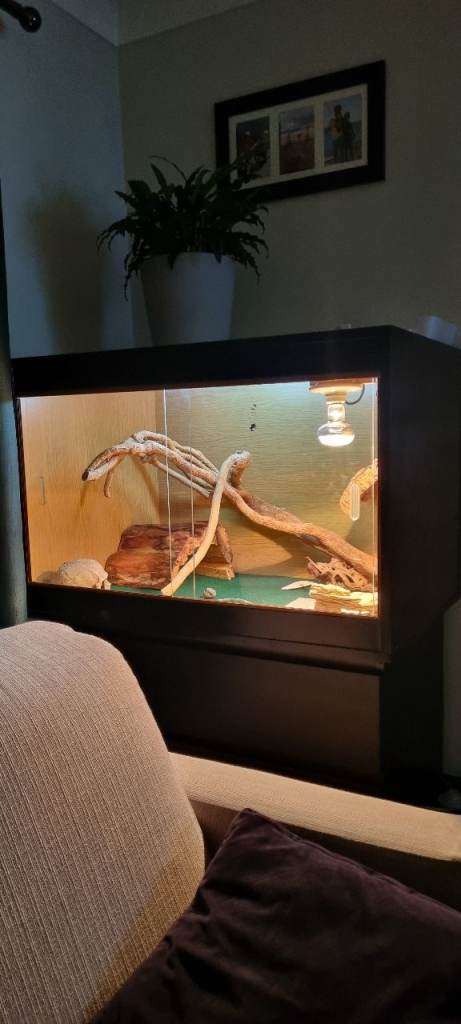 Vivarium 3ft x 2ft x 2ft 