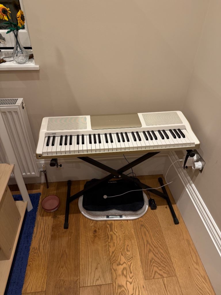 The ONE Light Smart Keyboard – 61 Keys