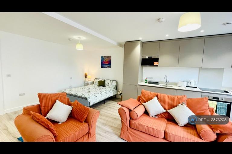 Studio flat in Alexandra Street, Southend-On-Sea, SS1 (#2873203)