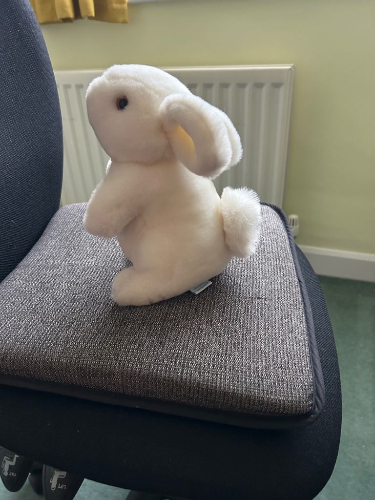 Rabbit Soft Toy 