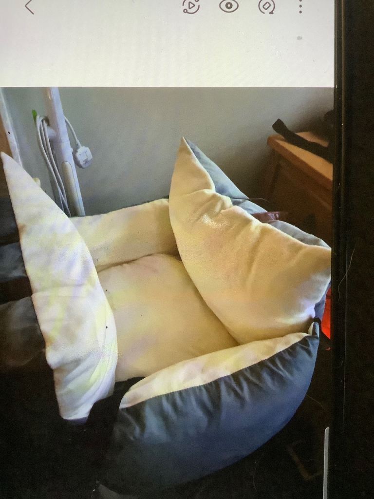 Soft sided dog travel bed