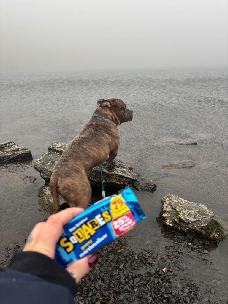 For rehome do not contact me if you have 0 intentions 