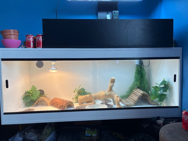 5ft reptile vivarium with all lights and accessories ideal for corn snake ball python bearded dragon